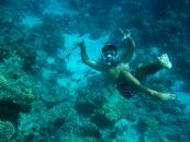 Фотография Воробьева Павла