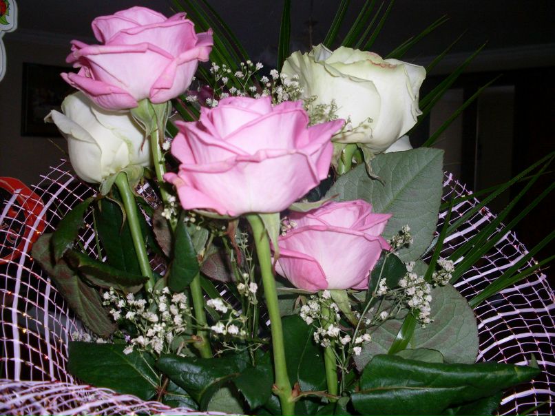 Anna Dan фотография #22