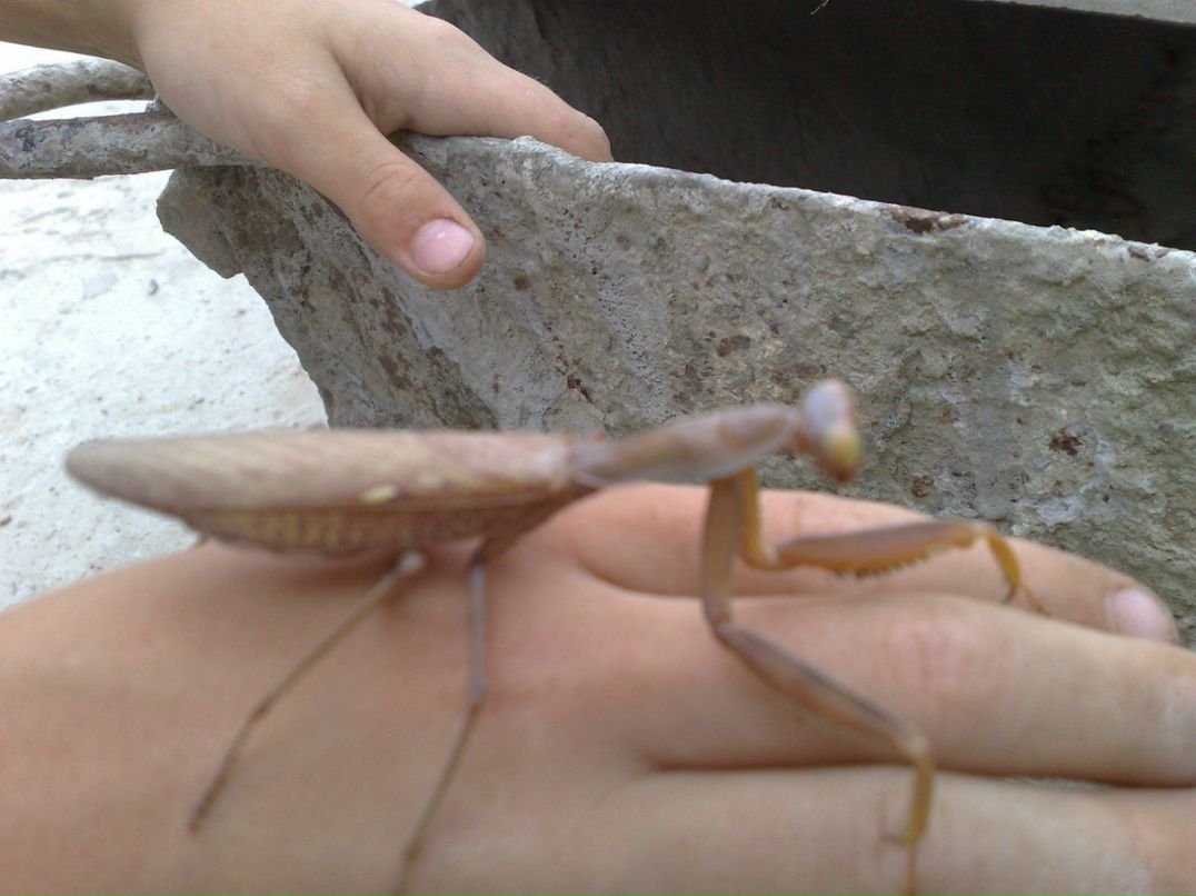 Антон Кузовлев фотография #23