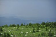 Денис Карх фотография #38 (источник - https://vk.com/id12694449)