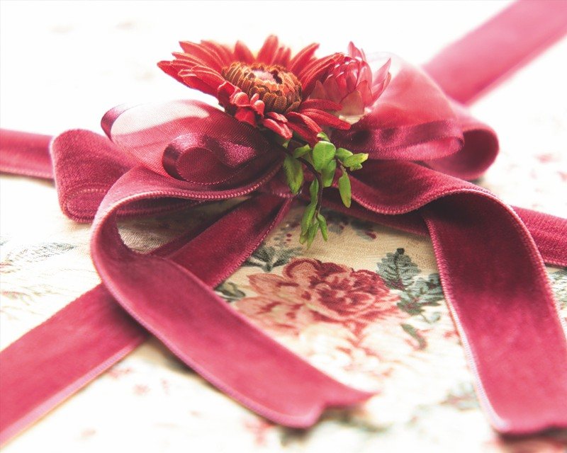 Evka Volturi фотография #14