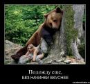 Владимир Кириленко фотография #17 (источник - https://vk.com/id1412364)