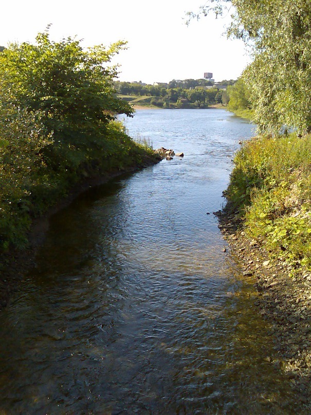 Danila Boykov фотография #40