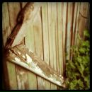 Игорь Хохлов фотография #23 (источник - https://vk.com/id512608)