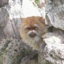 Сергей Кареев фотография #8 (источник - https://vk.com/id7260758)