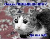 Міша Вороновский фотография #1
