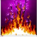 Адріана Камінська фотография #45 (источник - https://vk.com/id82569261)