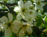 Фотография Васильевны Татьяны