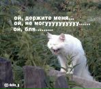 Ярослав Сідлецький фотография #3 (источник - https://vk.com/id70715134)