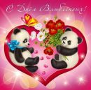 Фотография Аллахвердян Яны