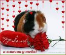 Оля Куліш фотография #14 (источник - https://vk.com/id136679803)