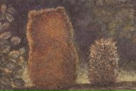 Фотография Зиелиновой Екатерины