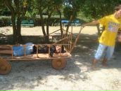 Фотография Крыштопа Александра