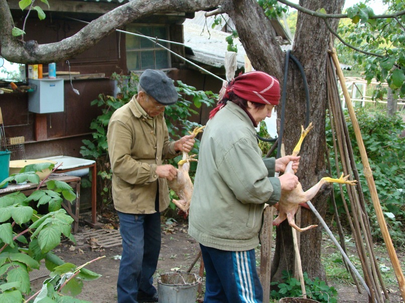 Костя Скребнев фотография #29