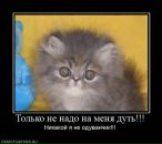 Ірина Холод фотография #5 (источник - https://vk.com/id106695395)