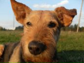 Фотография Ковальчука Сергея