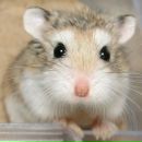 Фотография Платоненко Мадлен