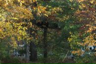 Анна Мячева фотография #43 (источник - https://vk.com/id1763573)