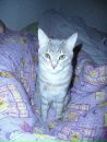 Вера Петровец фотография #35 (источник - https://vk.com/id36439799)