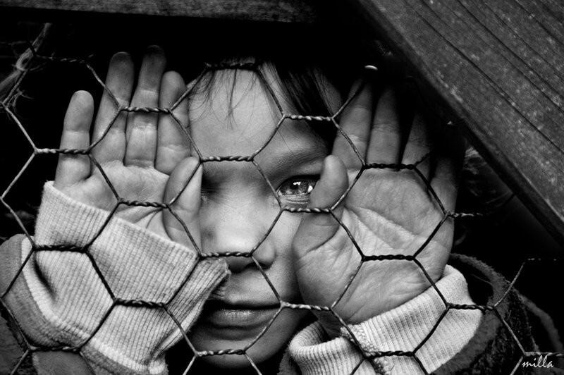 Вася Солонько фотография #18