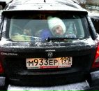 Фотография Лобановой Екатерины