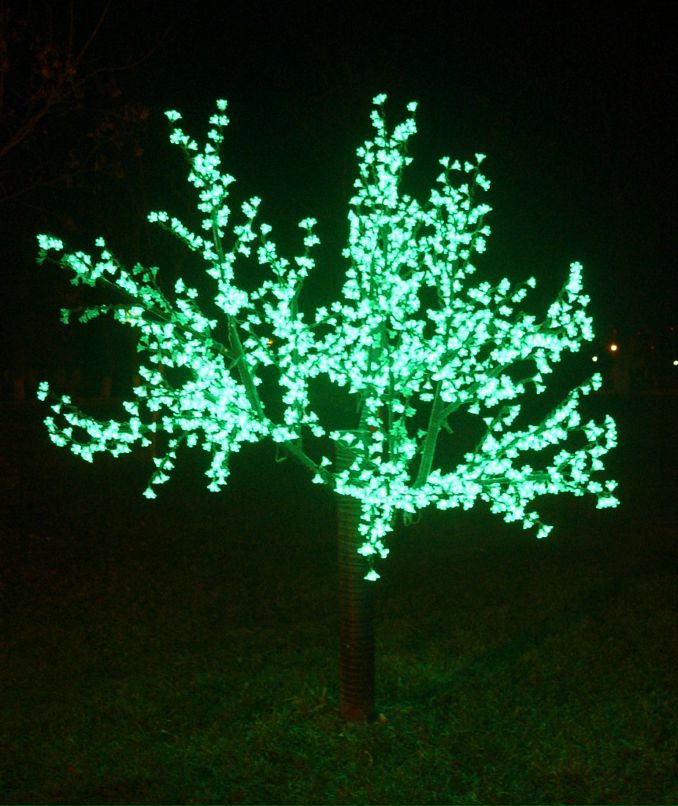 Галина Пекер фотография #46