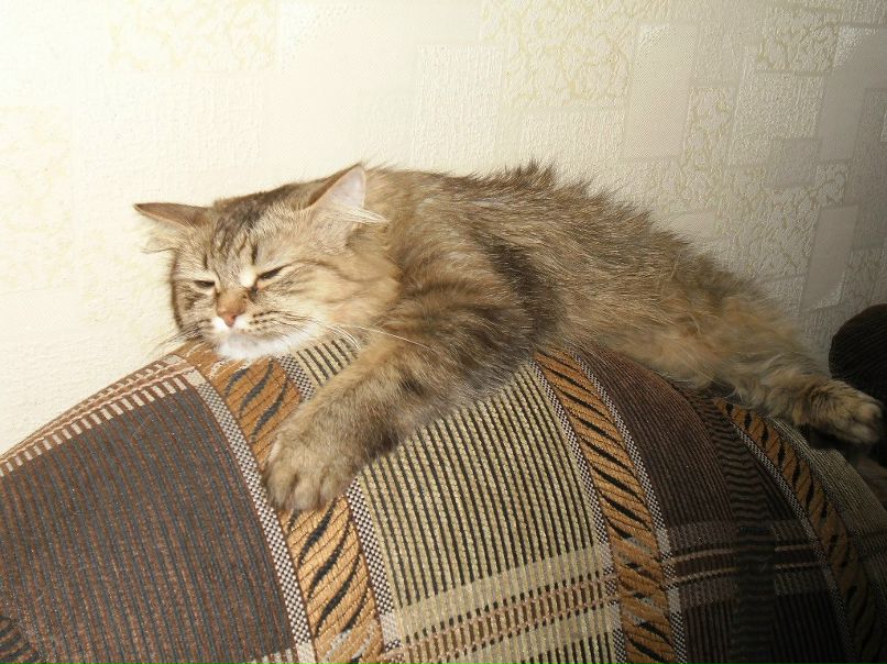 Женя Дмитриев фотография #33