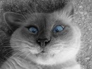 Фотография Каргашиной Наташи