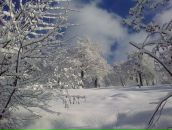 Іван Коваль фотография #25 (источник - https://vk.com/id50934328)