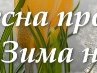 Олег Віш фотография #46 (источник - https://vk.com/id161137299)