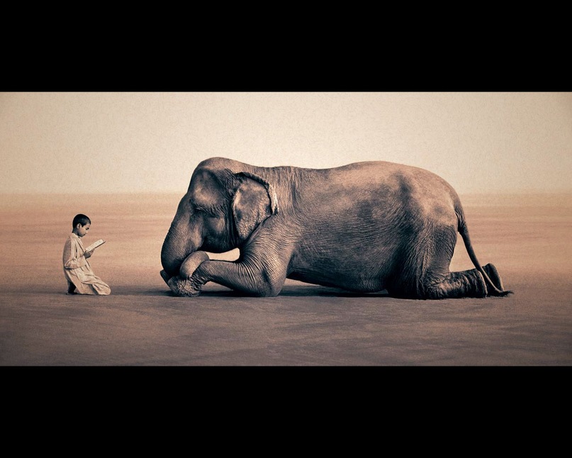 Oleg Bees фотография #23