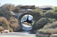 Фотография Alisamartov Pahentij