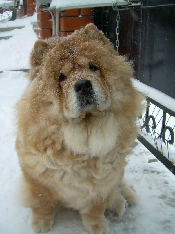 Виктор Матвеев фотография #47