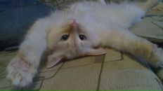 Фотография Афанасенко Виктории