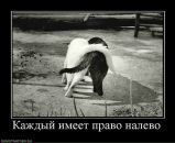 Таміла Пацьорка фотография #7 (источник - https://vk.com/id41547798)