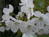 Мирослав Збірко фотография #8 (источник - https://vk.com/id87492158)