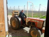 Іра Бойко фотография #2 (источник - https://vk.com/id127512127)