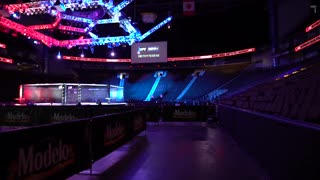 Путь бойца в октагон