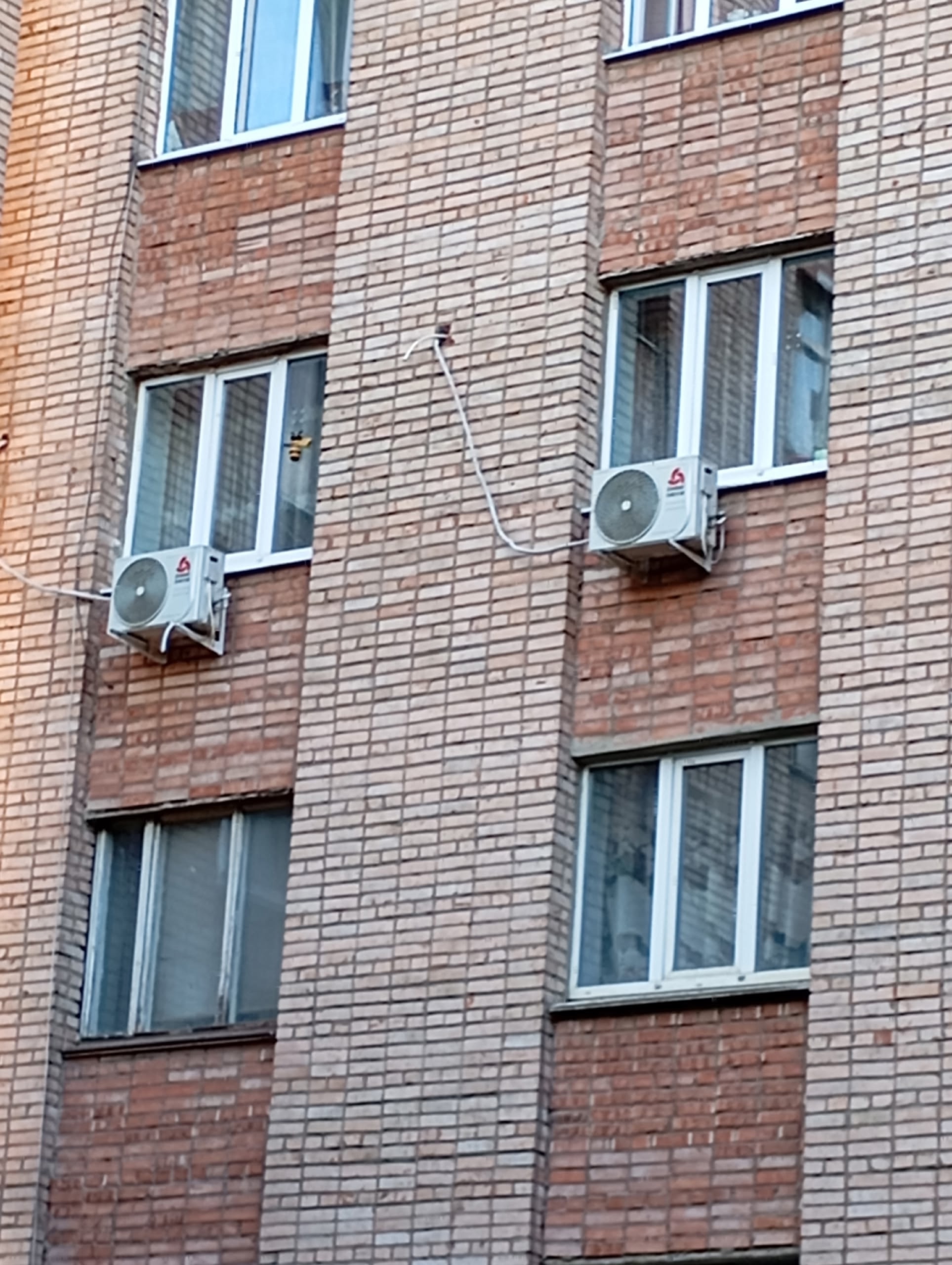 Продаётся в Луганске на городке з-д ОР (ул.Градусова ) 2 комнаты в общежитии (КОМНАТЫ ПРИВАТИЗИРОВАННЫЕ ) ✅ ОСМД ✅ Дом кирпичный ✅ Дом электро ✅ 3/9 эт ✅ общая площадь 2-х комнат 31 кв.м (18 кв.м +13 кв.м) ✅ С ремонтом ! ✅ 2 кондиционера ( в каждой комнате )Поставлены в 2024году ✅ окна м/п ✅ пол линоле...