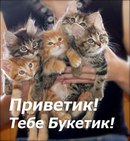Фотография Гребенцовой Елены